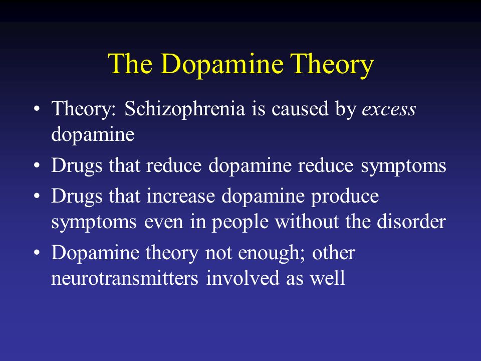 What Is the Role of Theories in the Study of Schizophrenia?